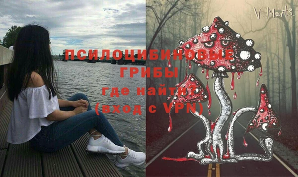 мескалин Богданович