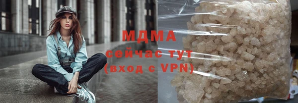 МДПВ Бородино