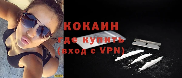 МДПВ Бородино