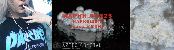 МДПВ Бородино