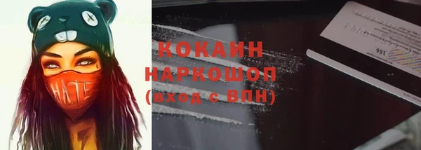 дживик Бронницы