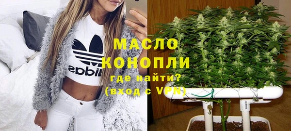 МДПВ Бородино