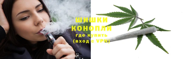 дживик Бронницы