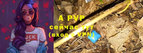 мескалин Богданович