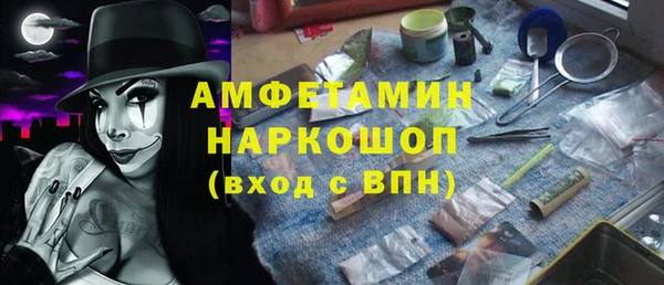 МДПВ Бородино