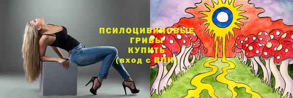 дживик Бронницы
