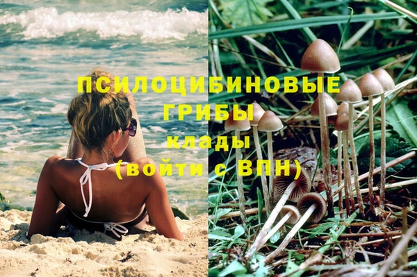 МДПВ Бородино
