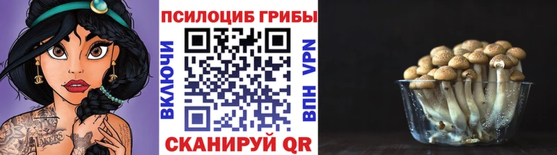 Галлюциногенные грибы ЛСД  hydra ССЫЛКА  Сретенск 